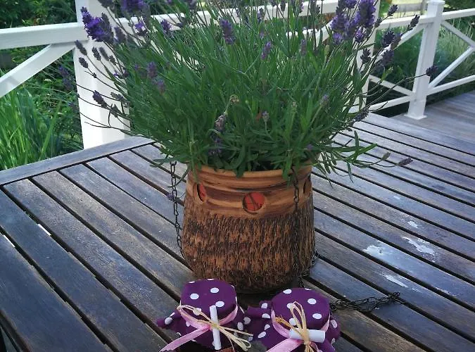 Privat bolig Whitianga