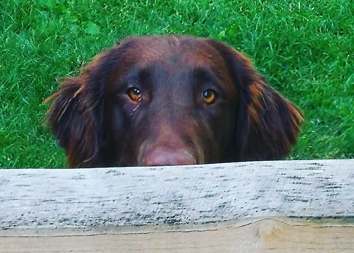 Privat bolig Whitianga