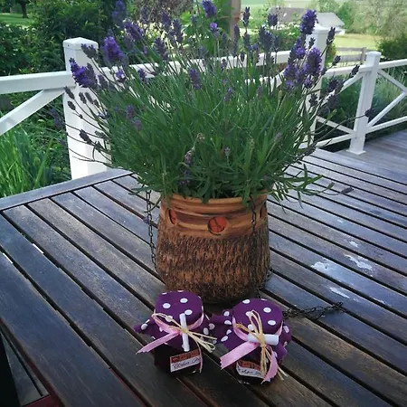 Kwatera prywatna Whitianga