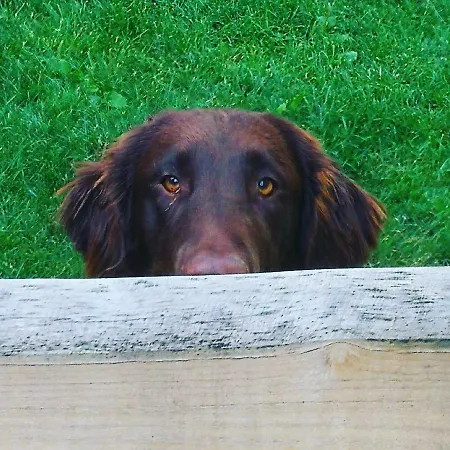 Kwatera prywatna Whitianga